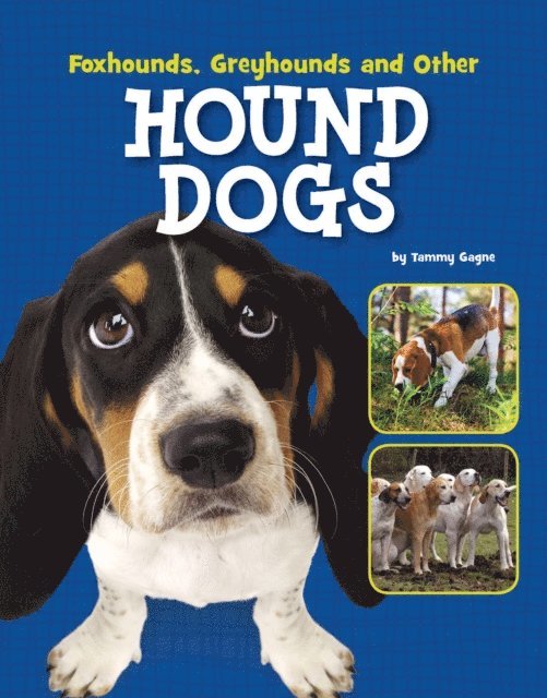 Tammy Gagne - Foxhounds, Greyhounds and Other Hound Dogs, E-bok