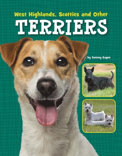 Tammy Gagne - West Highlands, Scotties and Other Terriers, E-bok