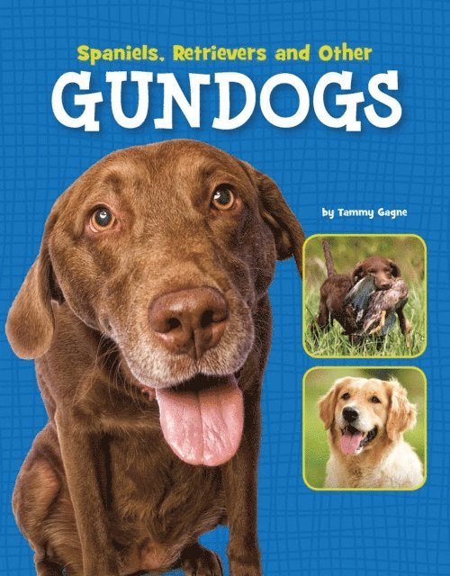 Tammy Gagne - Spaniels, Retrievers and Other Gundogs, E-bok