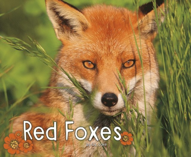 G.G. Lake - Red Foxes, E-bok. Tillgänglighet: Lägg i varukorg