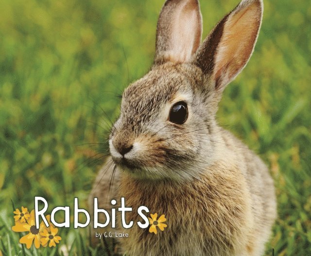G.G. Lake - Rabbits, E-bok. Tillgänglighet: Lägg i varukorg