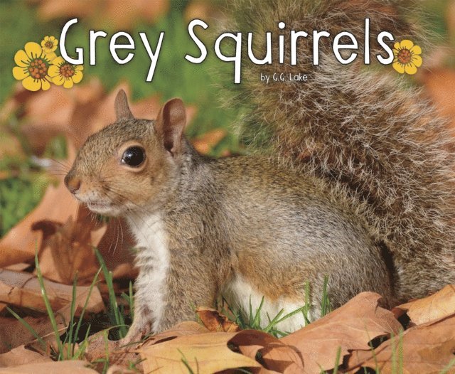 G.G. Lake - Grey Squirrels, E-bok. Tillgänglighet: Lägg i varukorg