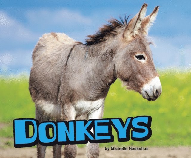 Michelle Hasselius - Donkeys, E-bok