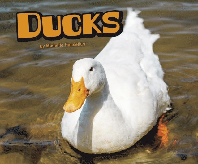 Michelle Hasselius - Ducks, E-bok