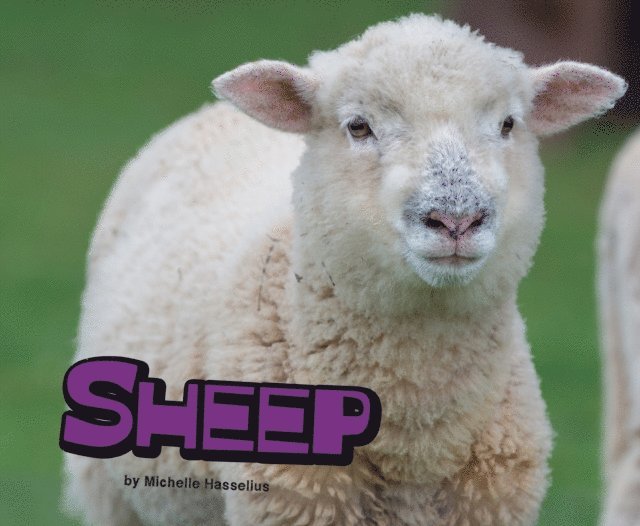Michelle Hasselius - Sheep, E-bok