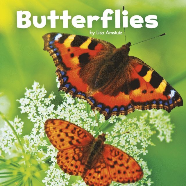 Lisa J. Amstutz - Butterflies, E-bok