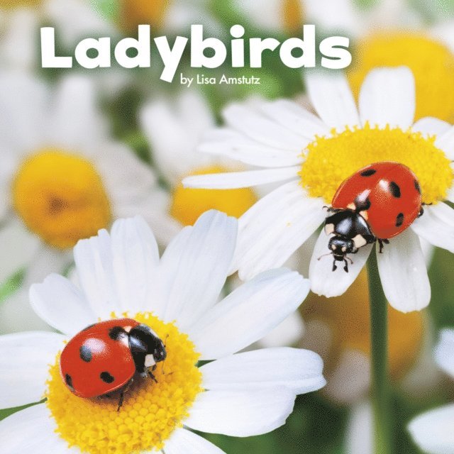 Lisa J. Amstutz - Ladybirds, E-bok