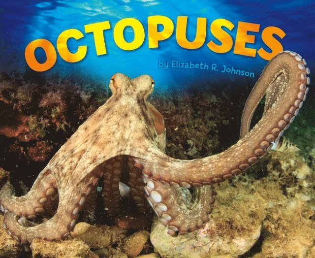 Elizabeth R. Johnson - Octopuses, E-bok