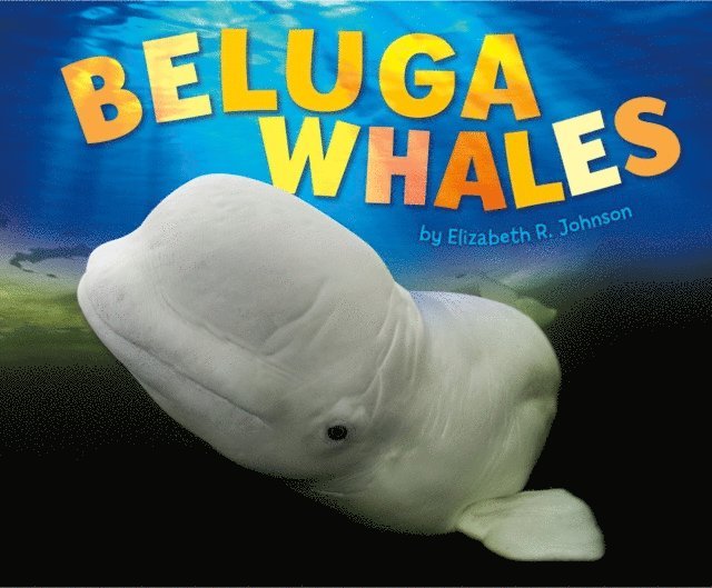 Elizabeth R. Johnson - Beluga Whales, E-bok