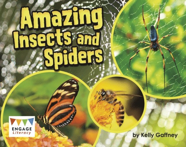 Kelly Gaffney - Amazing Insects and Spiders, E-bok