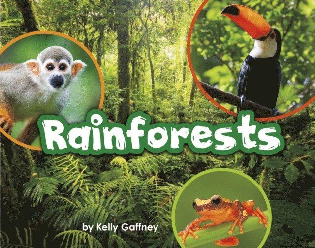 Kelly Gaffney - Rainforests, E-bok