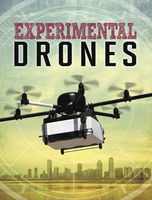 Amie Jane Leavitt - Experimental Drones, E-bok