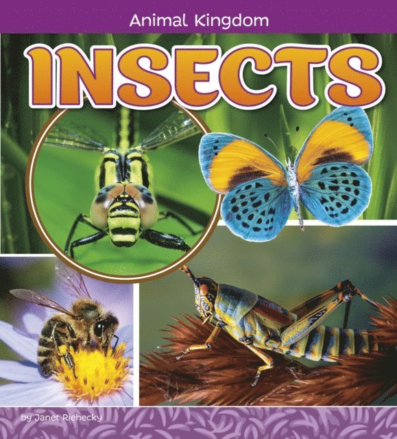 Janet Riehecky - Insects, E-bok