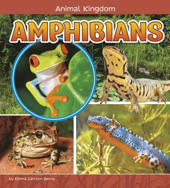 Emma Carlson Berne, Emma Bernay - Amphibians, E-bok