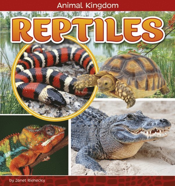 Janet Riehecky - Reptiles, E-bok