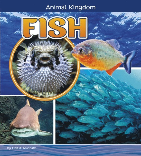 Lisa J. Amstutz - Fish, E-bok