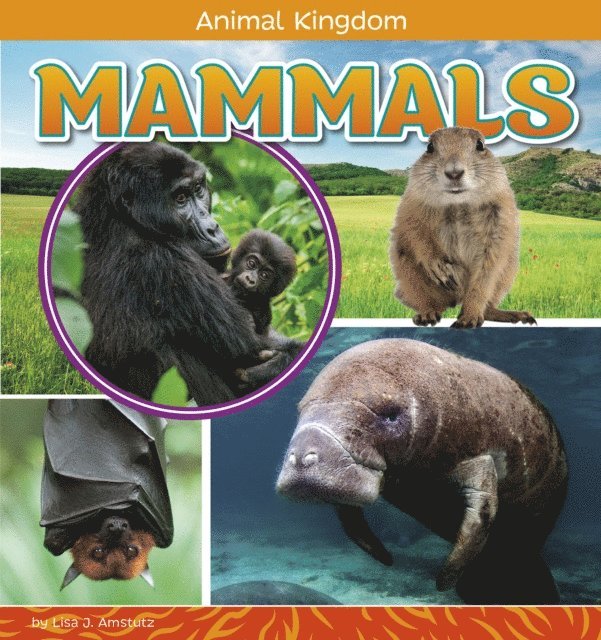 Lisa J. Amstutz - Mammals, E-bok