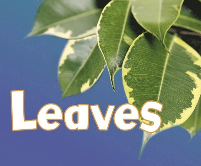 Vijaya Khisty Bodach - Leaves, E-bok