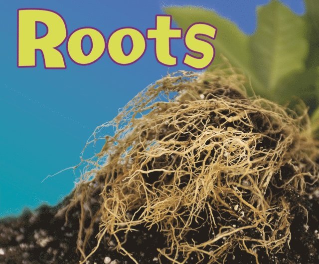Vijaya Khisty Bodach - Roots, E-bok