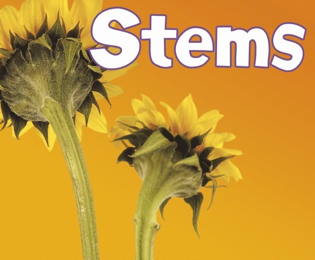 Vijaya Khisty Bodach - Stems, E-bok