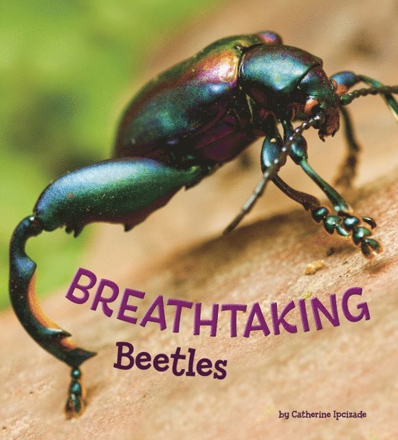 Catherine Ipcizade - Breathtaking Beetles, E-bok