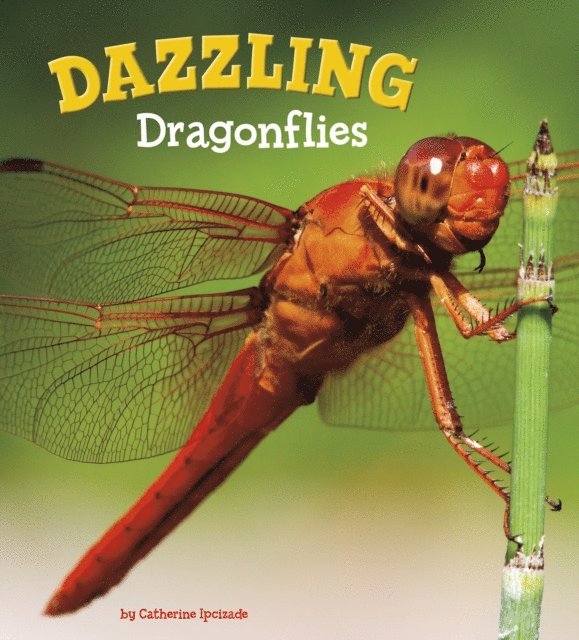 Catherine Ipcizade - Dazzling Dragonflies, E-bok