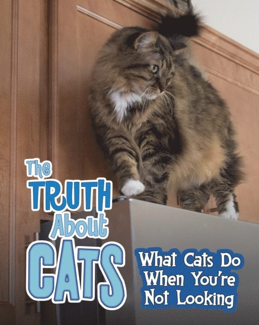 Mary Colson - Truth about Cats, E-bok