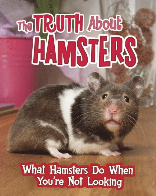 Mary Colson - Truth about Hamsters, E-bok