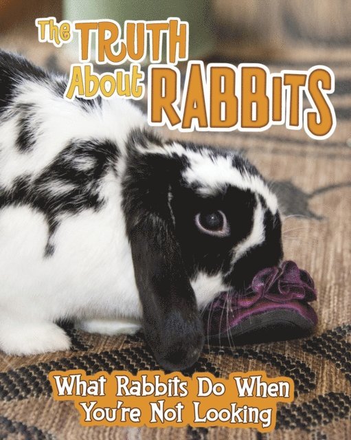 Mary Colson - Truth about Rabbits, E-bok