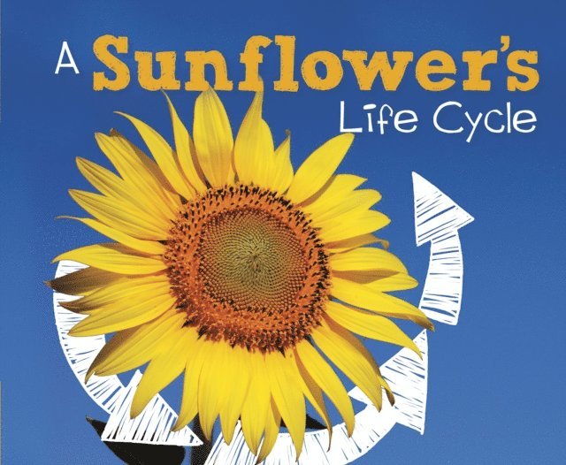 Mary R. Dunn - Sunflower's Life Cycle, E-bok