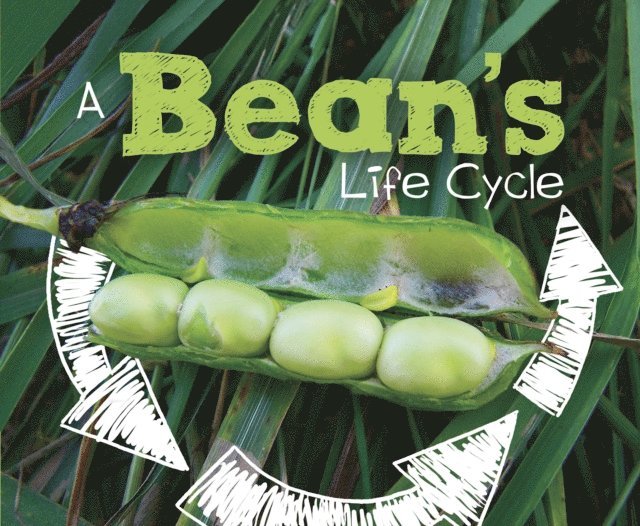 Mary R. Dunn - Bean's Life Cycle, E-bok