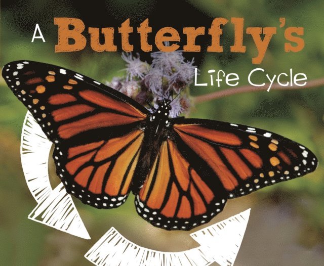 Mary R. Dunn - Butterfly's Life Cycle, E-bok