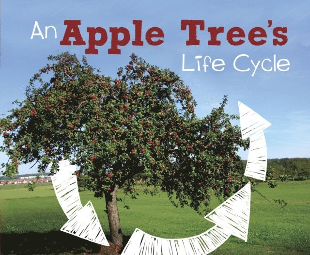 Mary R. Dunn - Apple Tree's Life Cycle, E-bok
