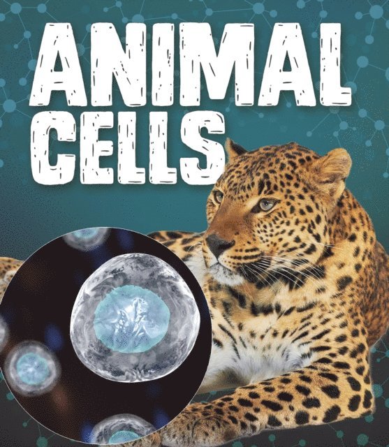 Mason Anders - Animal Cells, E-bok
