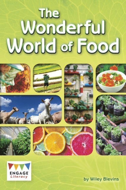 Wiley Blevins - Wonderful World of Food, E-bok