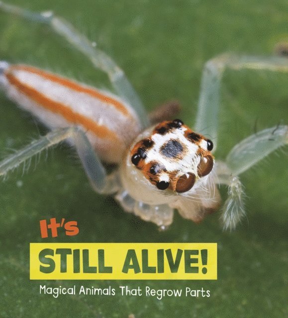 Nikki Potts - It's Still Alive!, E-bok