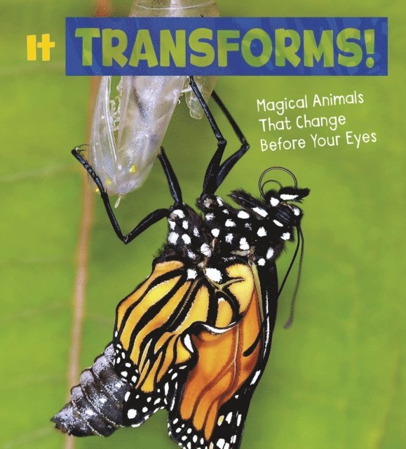 Nikki Potts - It Transforms!, E-bok