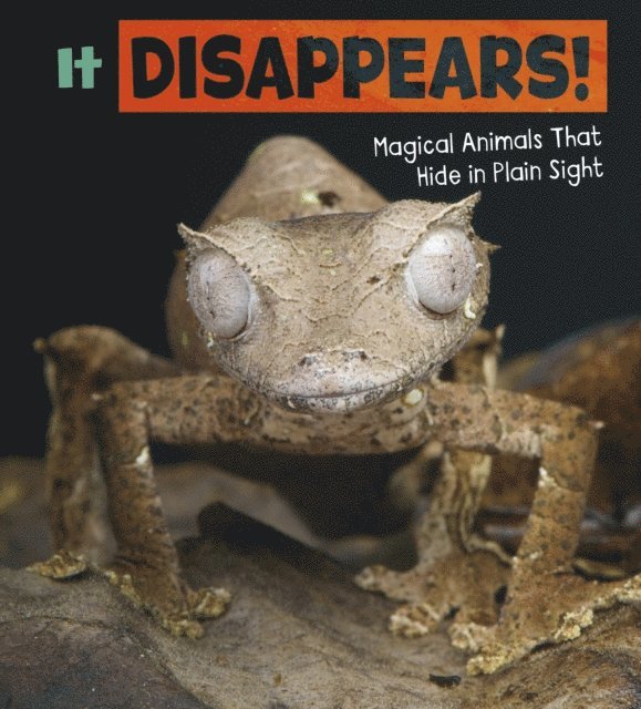 Nikki Potts - It Disappears!, E-bok