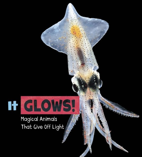 Nikki Potts - It Glows!, E-bok