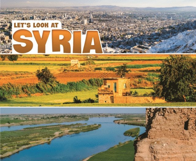 Nikki Bruno Clapper - Let's Look at Syria, E-bok