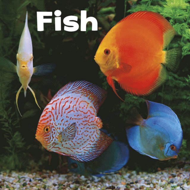 Lisa J. Amstutz - Fish, E-bok
