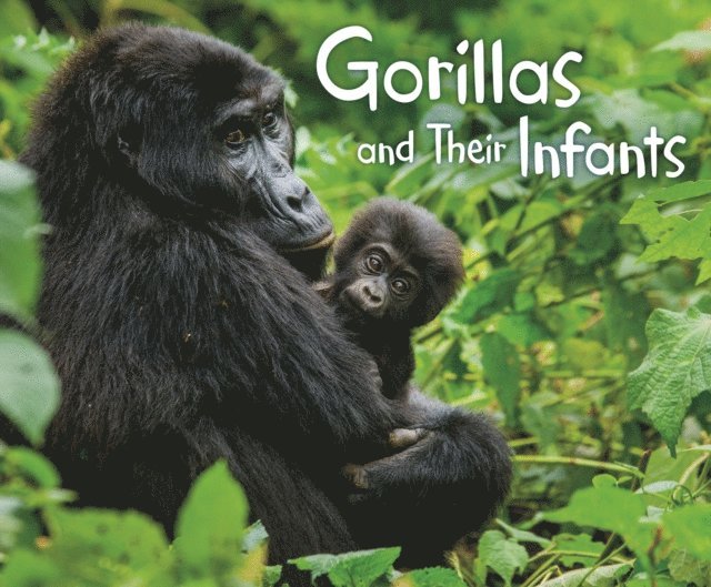 Margaret Hall - Gorillas and Their Infants, E-bok