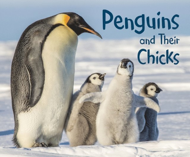 Margaret Hall - Penguins and Their Chicks, E-bok