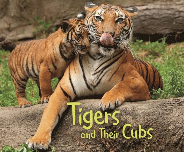 Margaret Hall - Tigers and Their Cubs, E-bok