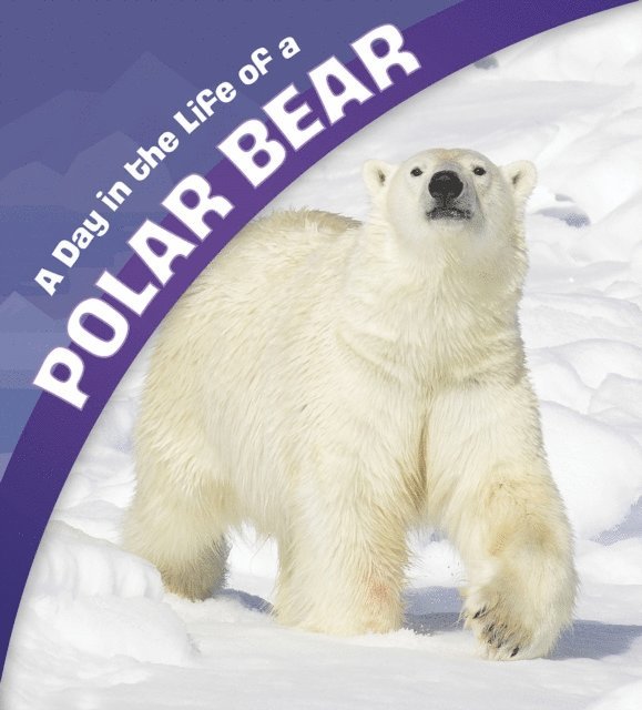 Sharon Katz Cooper - Day in the Life of a Polar Bear, E-bok