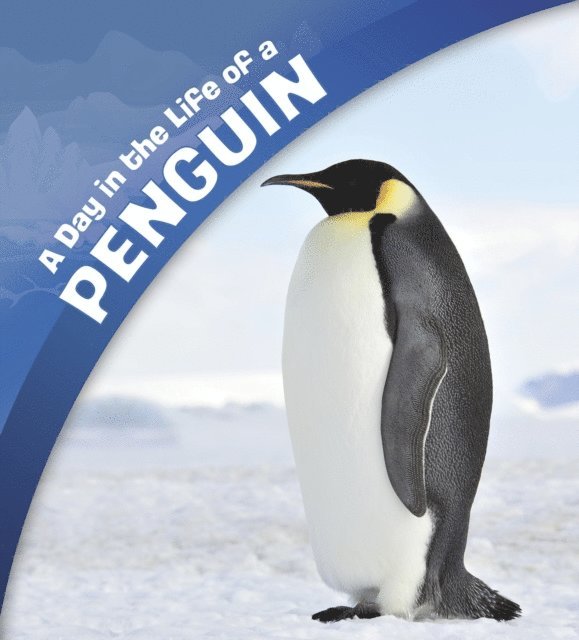 Sharon Katz Cooper - Day in the Life of a Penguin, E-bok