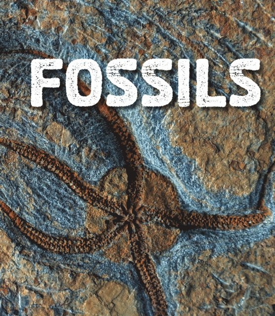 Ava Sawyer - Fossils, E-bok. Tillgänglighet: Lägg i varukorg