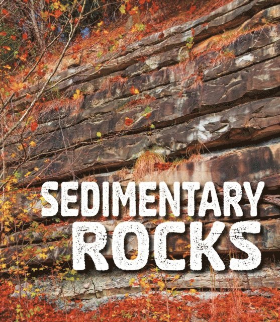 Ava Sawyer - Sedimentary Rocks, E-bok. Tillgänglighet: Lägg i varukorg