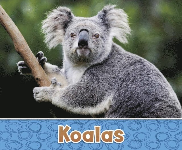 Sara  Louise Kras - Koalas, E-bok