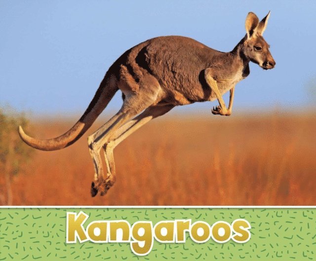 Sara  Louise Kras - Kangaroos, E-bok